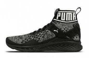 Кроссовки Puma Ignite Evoknit