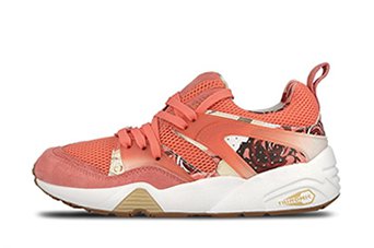 Кроссовки Puma Blaze Of Glory X Careaux