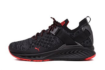 кроссовки мужские Puma Ignite Evoknit Low
