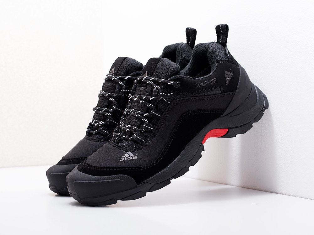 мужские кроссовки Adidas Terrex AX2