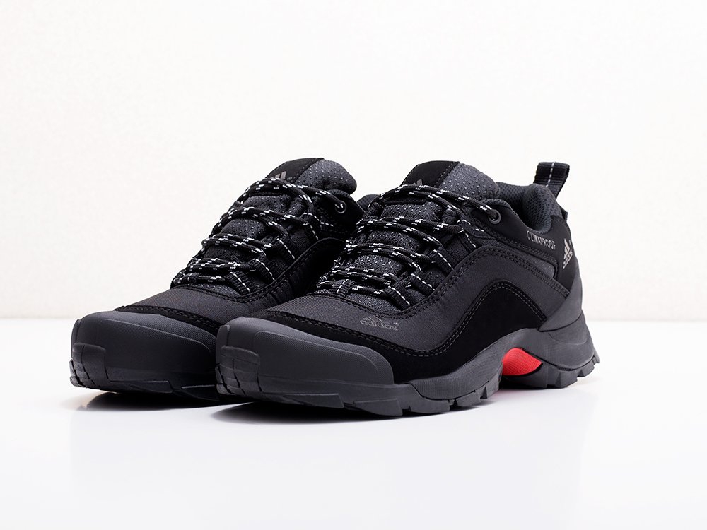 мужские кроссовки Adidas Terrex AX2