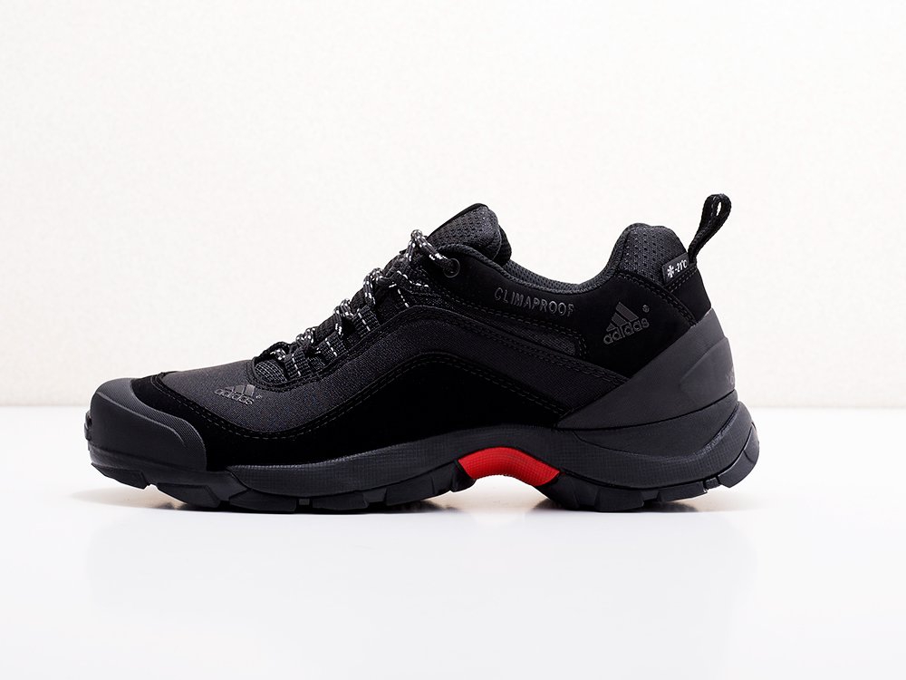 мужские кроссовки Adidas Terrex AX2