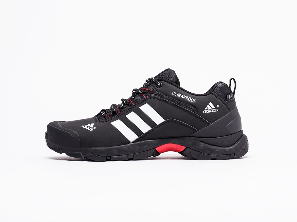 мужские кроссовки Adidas Terrex