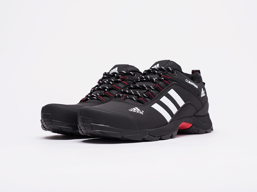 мужские кроссовки Adidas Terrex
