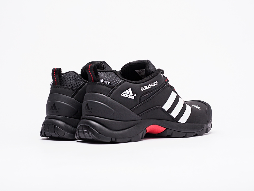 мужские кроссовки Adidas Terrex