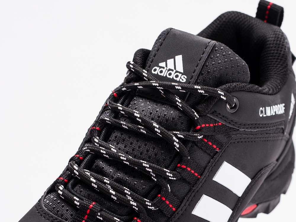 мужские кроссовки Adidas Terrex