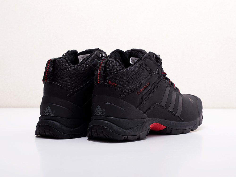 мужские ботинки Adidas Terrex Winter