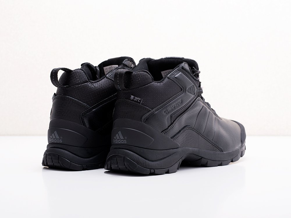 мужские ботинки Adidas Terrex Winter