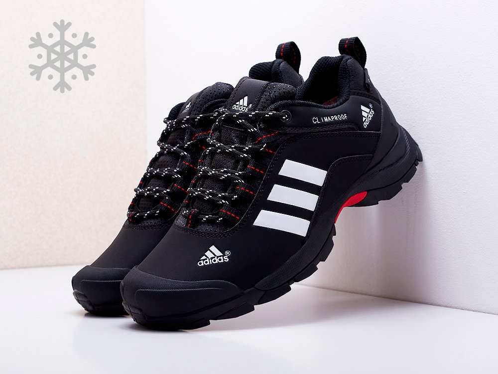 мужские кроссовки Adidas Terrex AX2