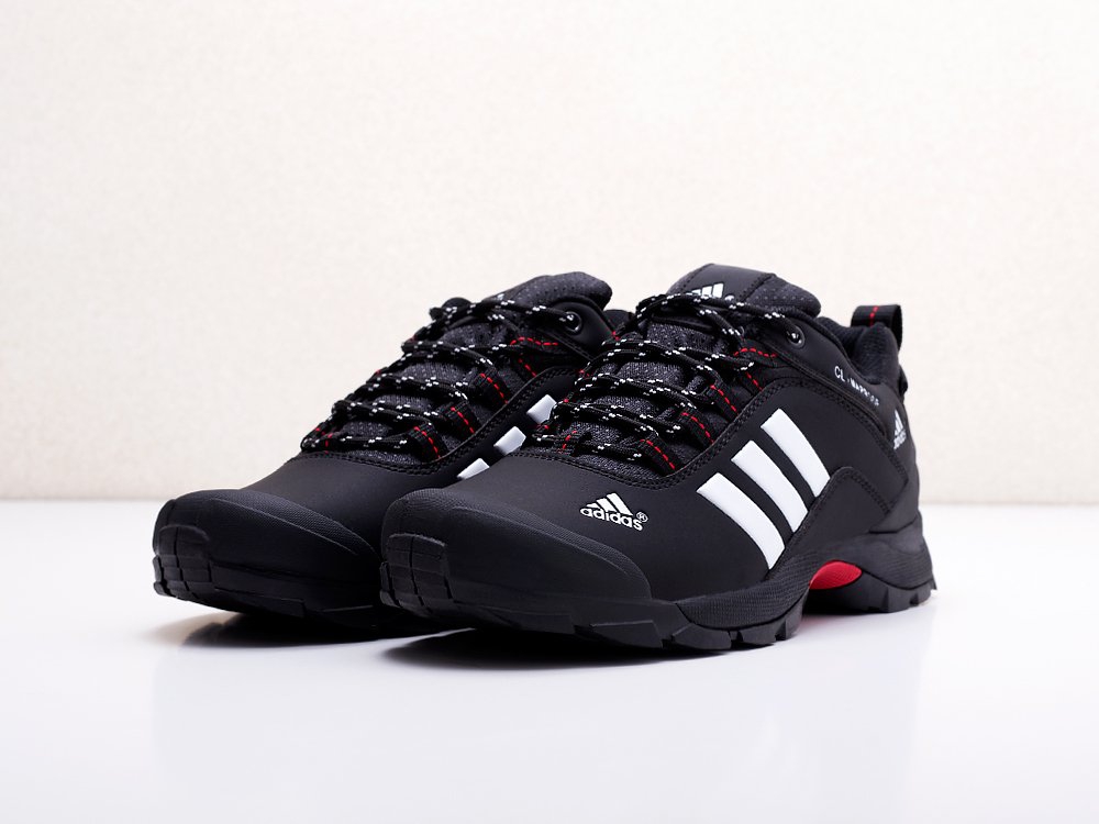 мужские кроссовки Adidas Terrex AX2