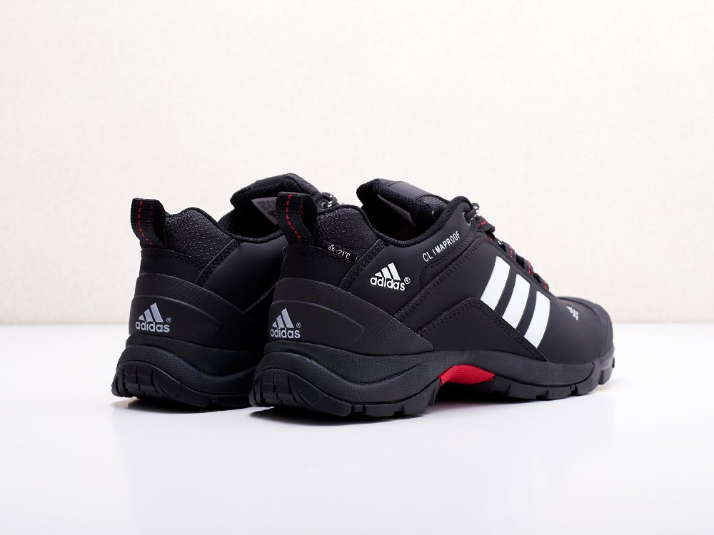 мужские кроссовки Adidas Terrex AX2