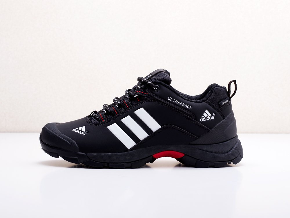 мужские кроссовки Adidas Terrex AX2