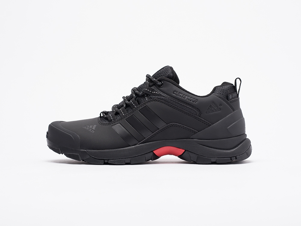 мужские кроссовки Adidas Terrex AX2