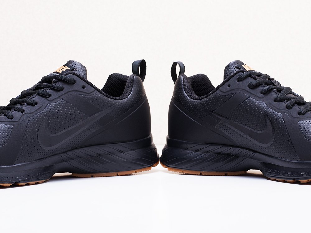 мужские кроссовки Nike Air Pegasus +30