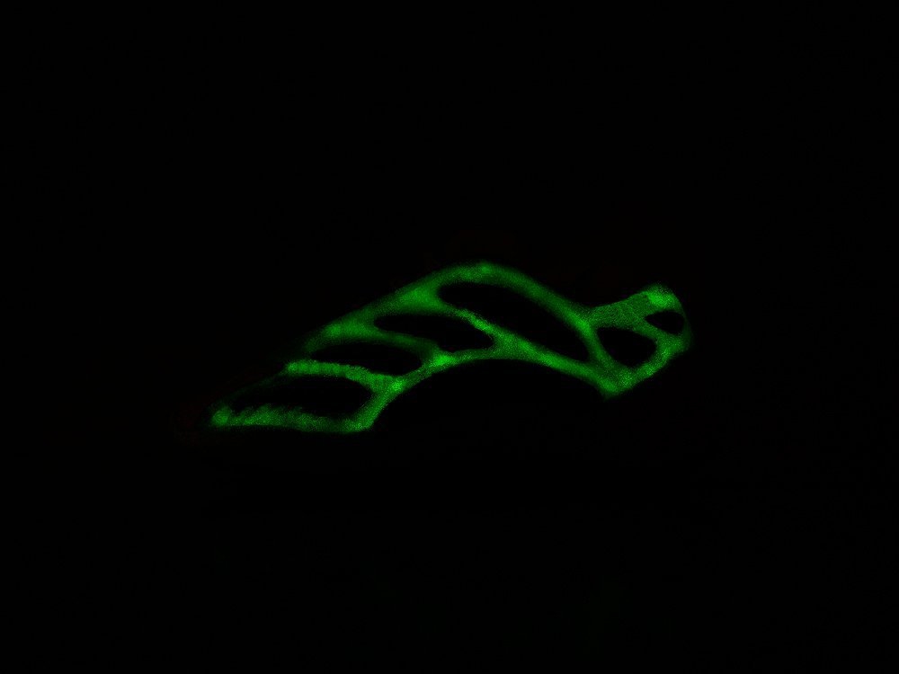 Adidas Yeezy Boost 700 v3 WMNS зеленые текстиль женские (AR18715) - фото 3