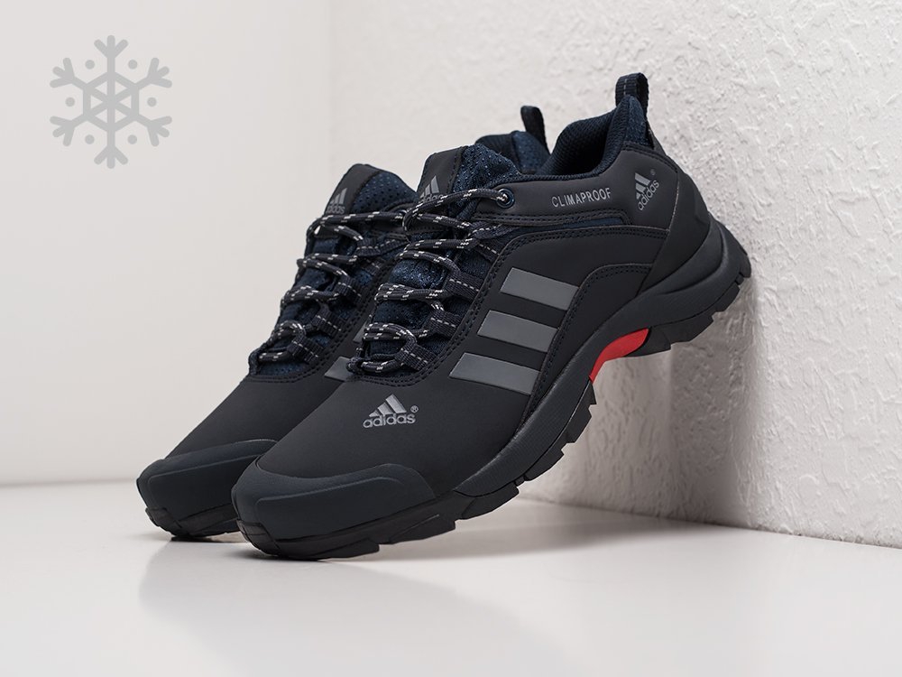 мужские кроссовки Adidas Terrex AX2 Dark Blue / Red