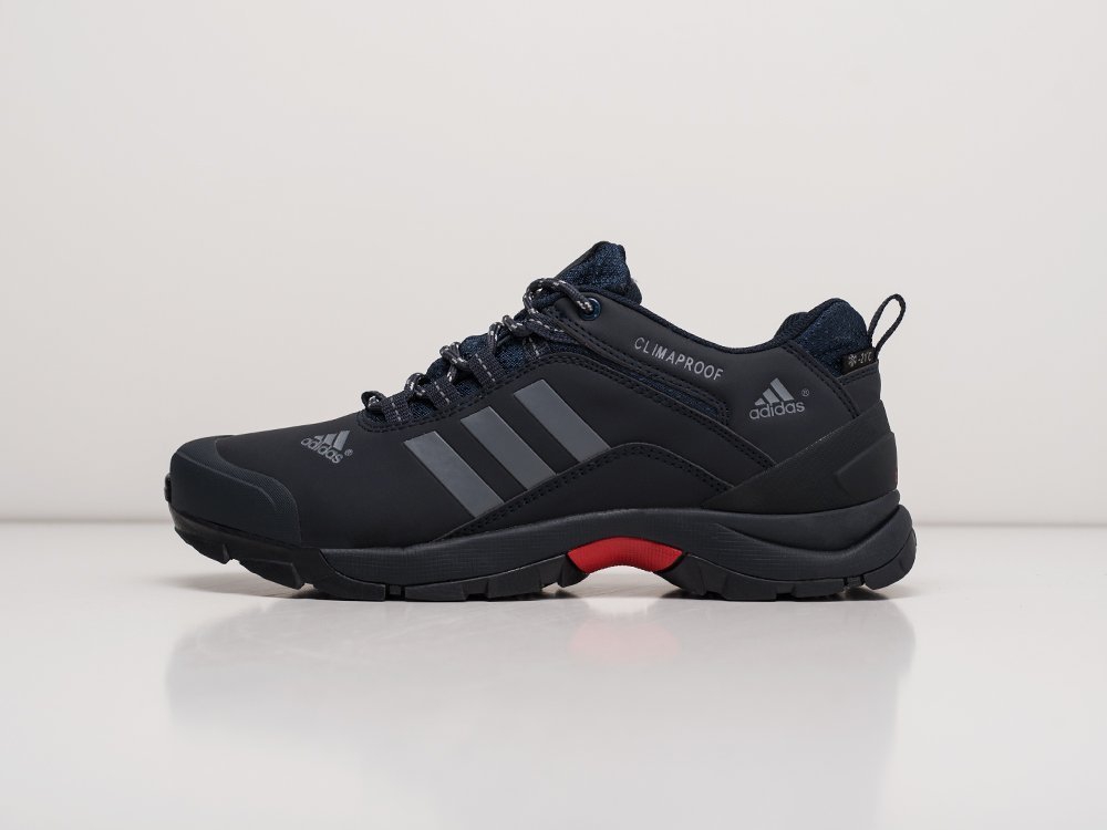 мужские кроссовки Adidas Terrex AX2 Dark Blue / Red