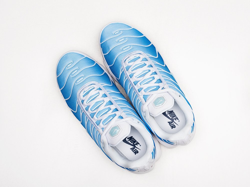 Nike Air Max Plus голубые текстиль мужские (AR25429) - фото 3