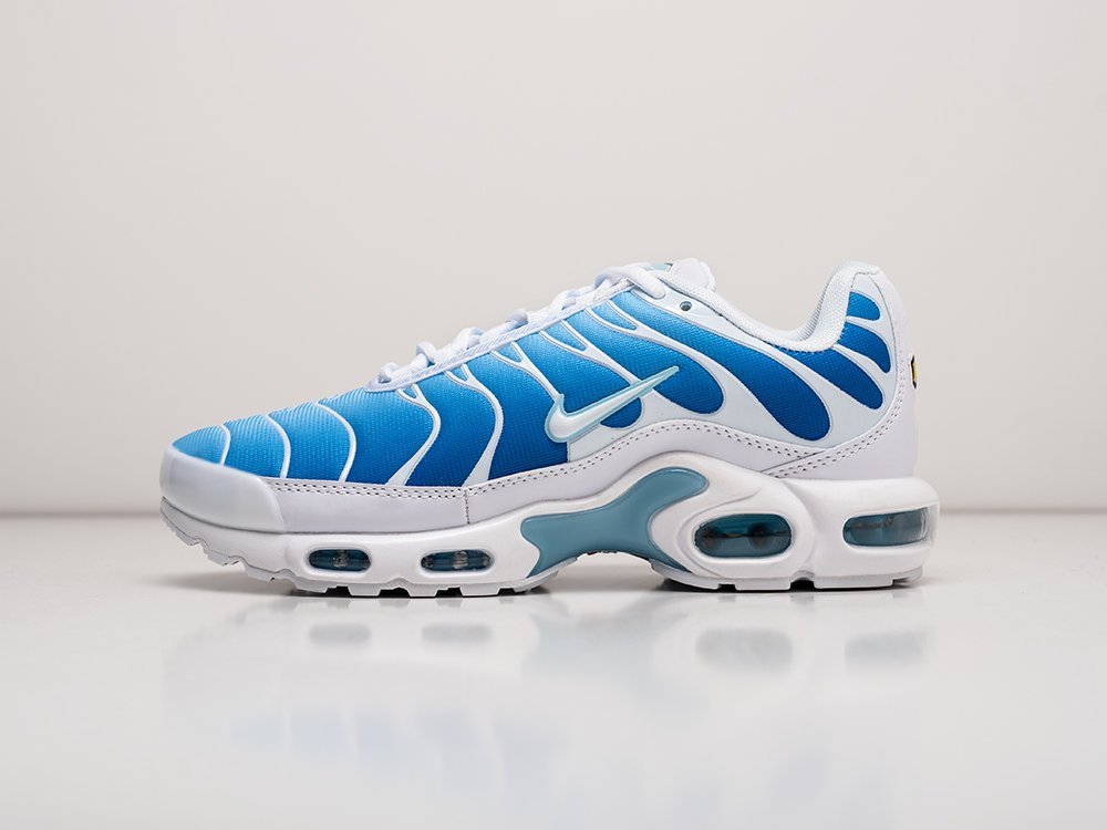 Nike Air Max Plus голубые текстиль мужские (AR25429) - фото 1 Nike Air Max Plus голубые текстиль мужские (AR25429) - фото 1