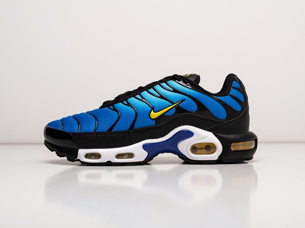 Nike Air Max Plus TN синие текстиль мужские (AR25552) - фото 1