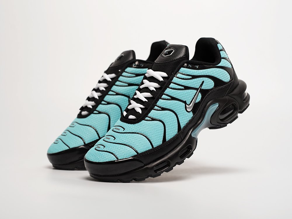 Nike Air Max Plus TN голубые текстиль мужские (AR31812) - фото 2