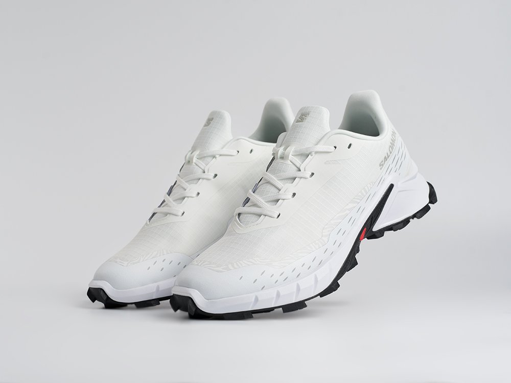 Salomon Alphacross 5 GTX белые текстиль мужские (AR34421) - фото 2 Salomon Alphacross 5 GTX белые текстиль мужские (AR34421) - фото 2