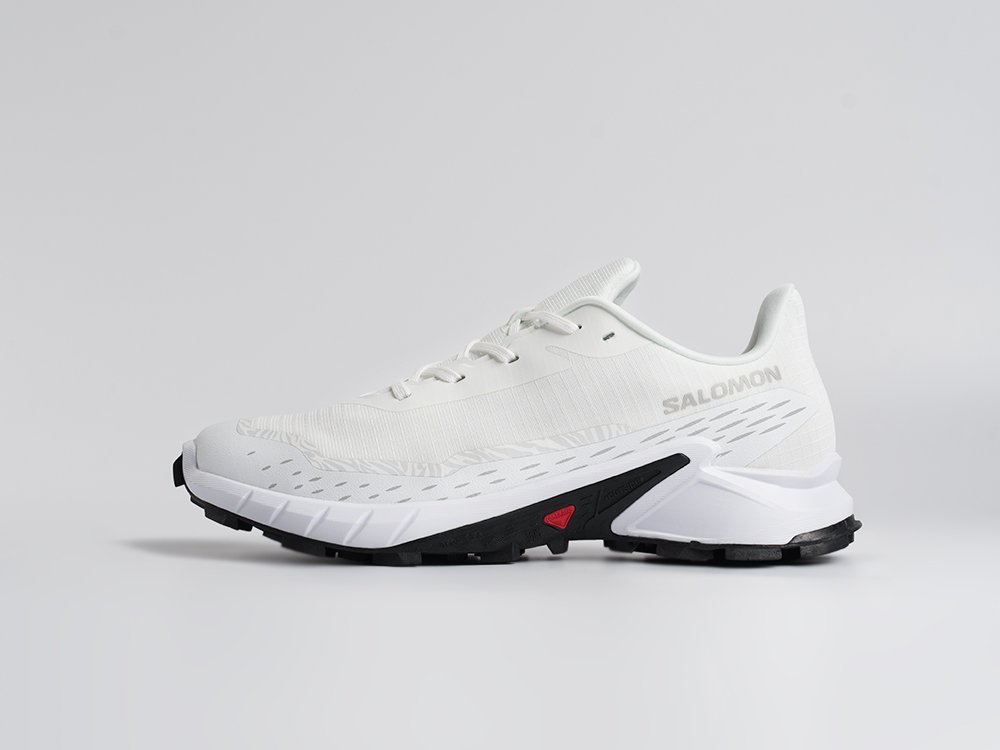 Salomon Alphacross 5 GTX белые текстиль мужские (AR34421) - фото 1 Salomon Alphacross 5 GTX белые текстиль мужские (AR34421) - фото 1