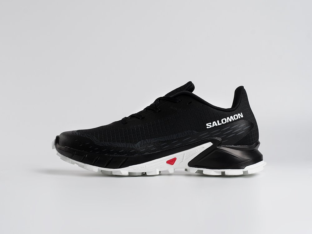 Salomon Alphacross 5 GTX черные текстиль мужские (AR34423) - фото 1 Salomon Alphacross 5 GTX черные текстиль мужские (AR34423) - фото 1