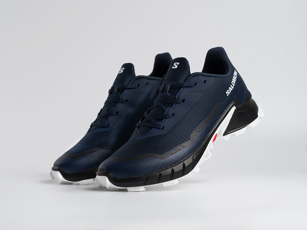 Salomon Alphacross 5 GTX синие текстиль мужские (AR34425) - фото 2 Salomon Alphacross 5 GTX синие текстиль мужские (AR34425) - фото 2