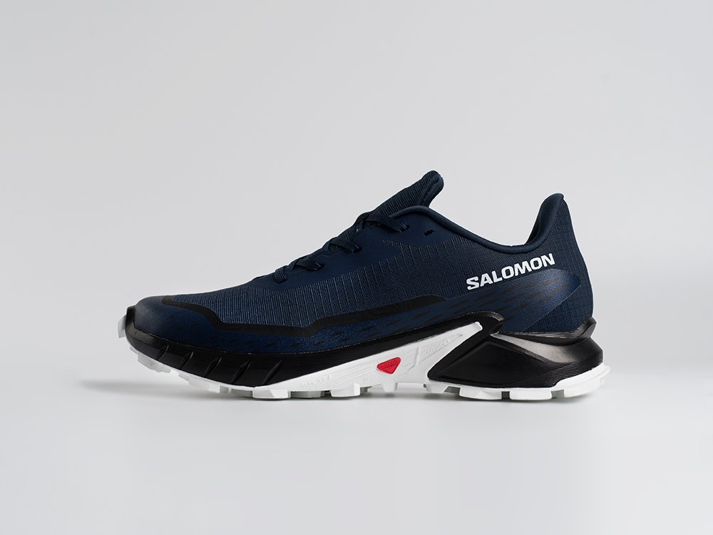 Salomon Alphacross 5 GTX синие текстиль мужские (AR34425) - фото 1 Salomon Alphacross 5 GTX синие текстиль мужские (AR34425) - фото 1