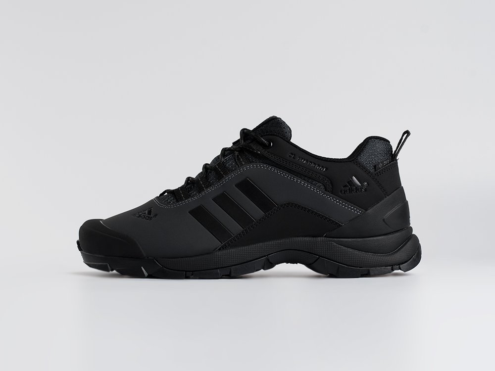 Adidas Terrex AX2 черные кожа мужские (AR34554) - фото 1