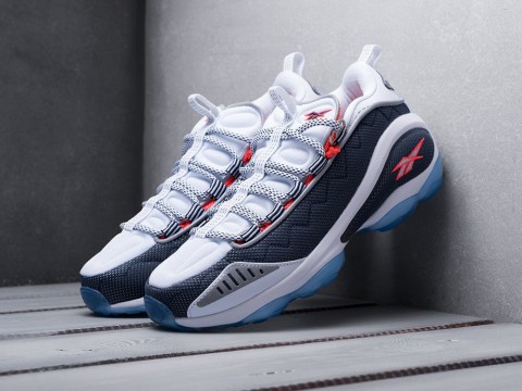 мужские кроссовки Reebok DMX Run 10