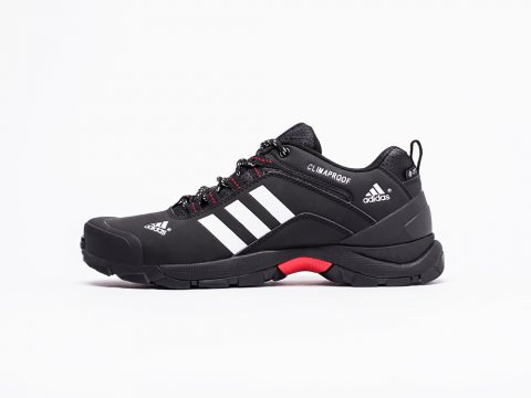 мужские кроссовки Adidas Terrex
