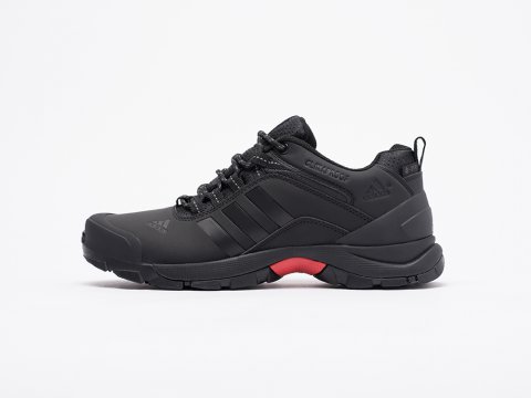 мужские кроссовки Adidas Terrex AX2