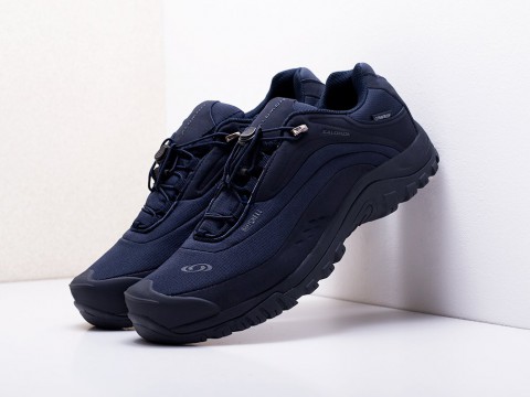 мужские кроссовки Salomon Fury 3