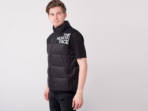 мужской жилет The North Face