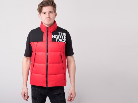 мужской жилет The North Face