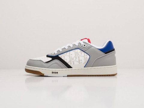 Dior B27 Low Grey / White / Red / Blue