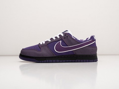 Nike x Concepts SB Dunk Low PRO OG QS Purple / Black