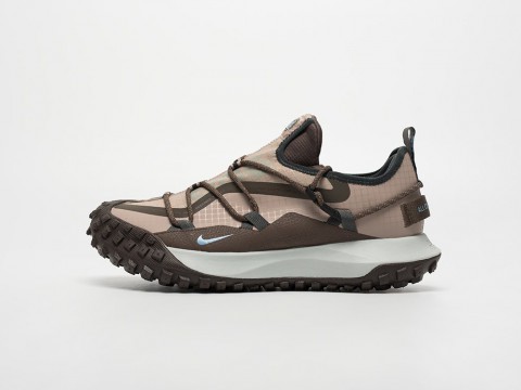 Nike ACG Mountain Fly Low Brown / Beige / White