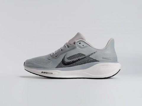 Мужские кроссовки Nike Air Zoom Pegasus 41