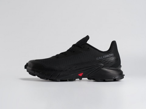Мужские кроссовки Salomon Alphacross 5 GTX черные