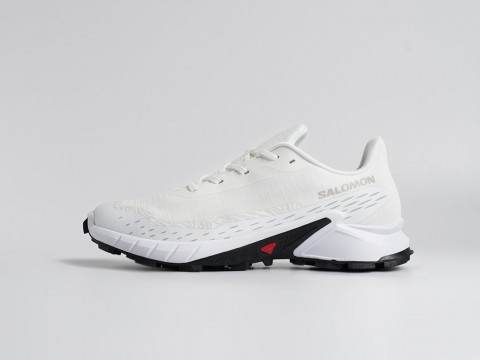 Мужские кроссовки Salomon Alphacross 5 GTX белые