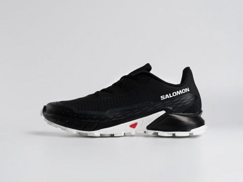 Мужские кроссовки Salomon Alphacross 5 GTX черные