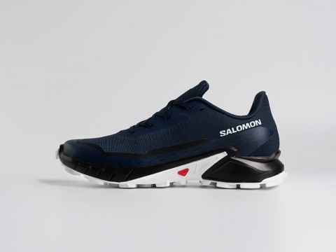 Мужские кроссовки Salomon Alphacross 5 GTX синие