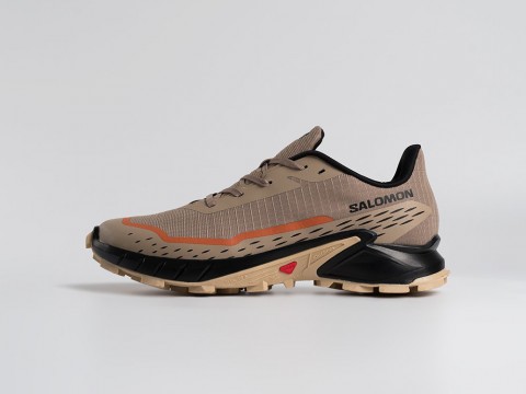 Мужские кроссовки Salomon Alphacross 5 GTX бежевые
