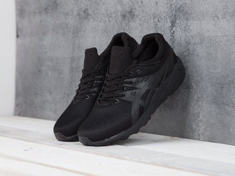 мужские кроссовки Asics Gel Kayano Trainer Evo