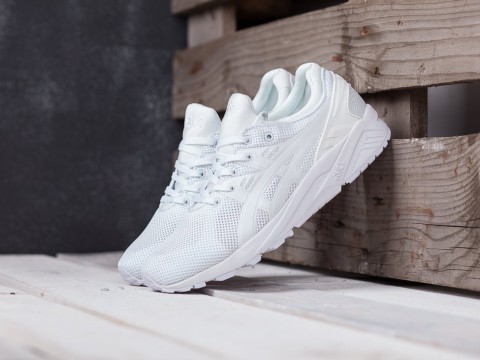 мужские кроссовки Asics Gel Kayano Trainer Evo