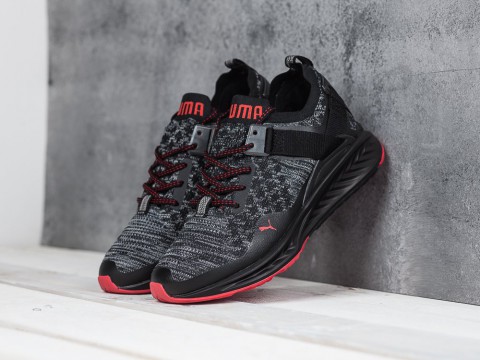 мужские кроссовки Puma Ignite Evoknit Low